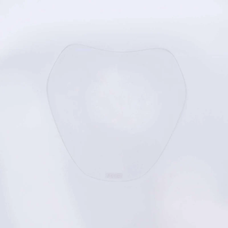Headlight Shield, BMW R1250R 19-