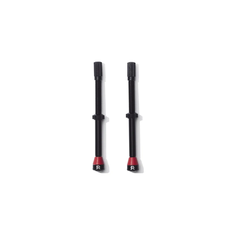 Fillmore Tubeless Valve Kit