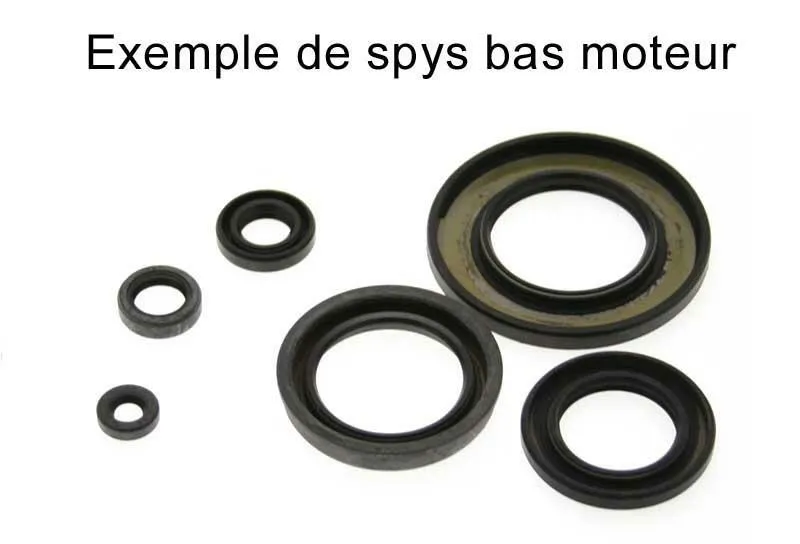 CENTAURO Oil Seal Set 666A016SR