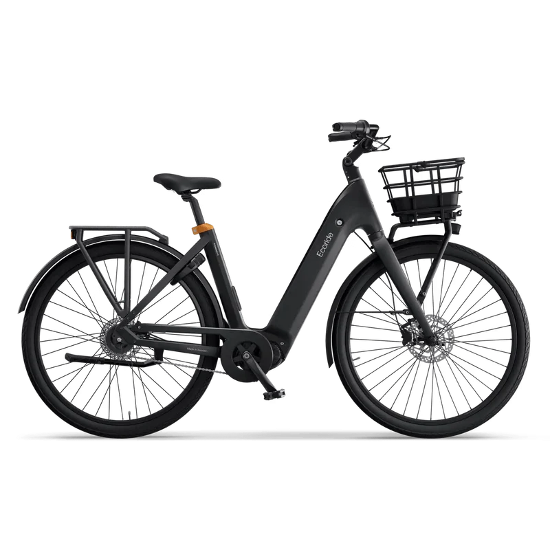 Ecoride Ambassador 4