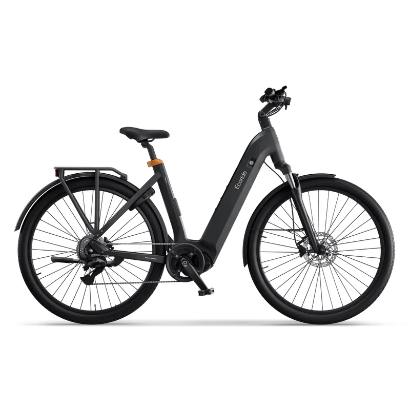 Ecoride Tripper 4 Remdrift