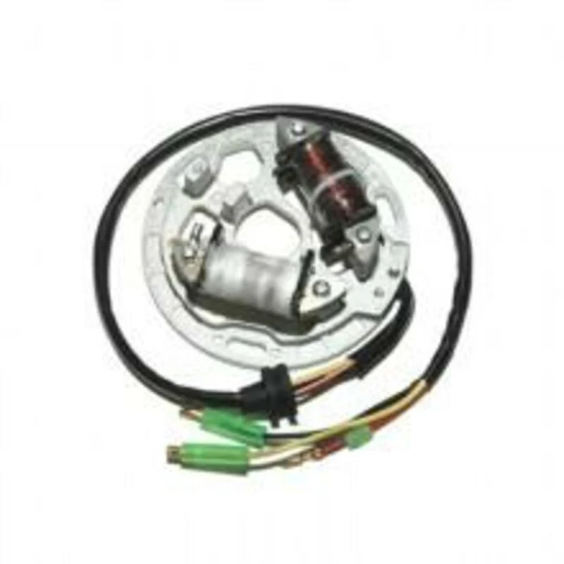 ELECTROSPORT Stator - Kawasaki ESL225