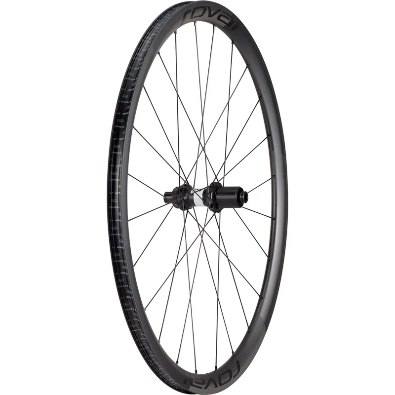 Alpinist CL II Disc Rear Wheel