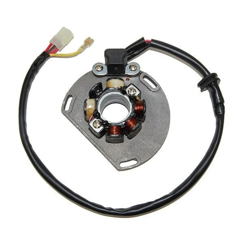 ELECTROSPORT Stator & Lightning Coil - KTM ESL239