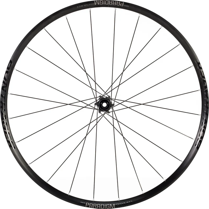 Paradigm Comp TLR Disc Brake Rear Wheel
