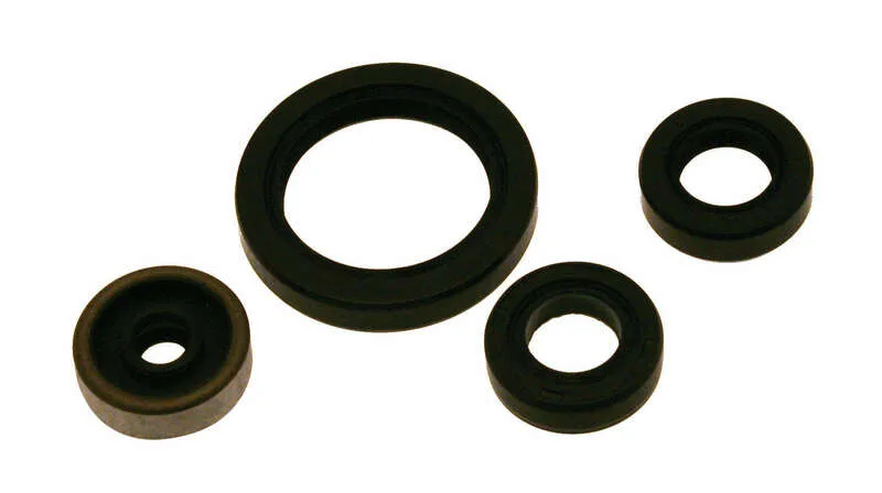 CENTAURO Oil Seal set 912A001SR
