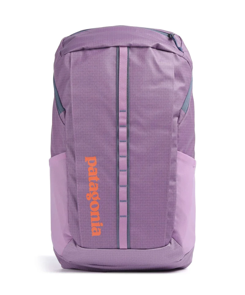 Patagonia Black Hole 25 Ryggsäck brisk purple