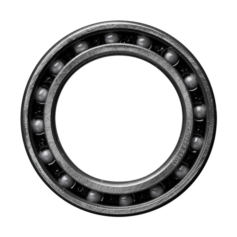 61802 Coated Bearing