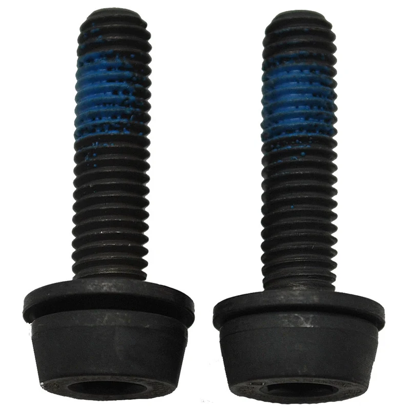 Flat Mount Rear Caliper Bolts